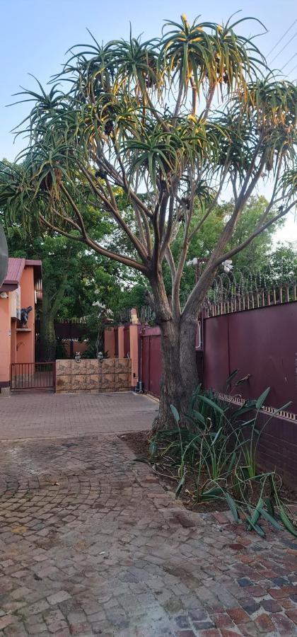My House Guest House Pretoria-Noord Exteriér fotografie