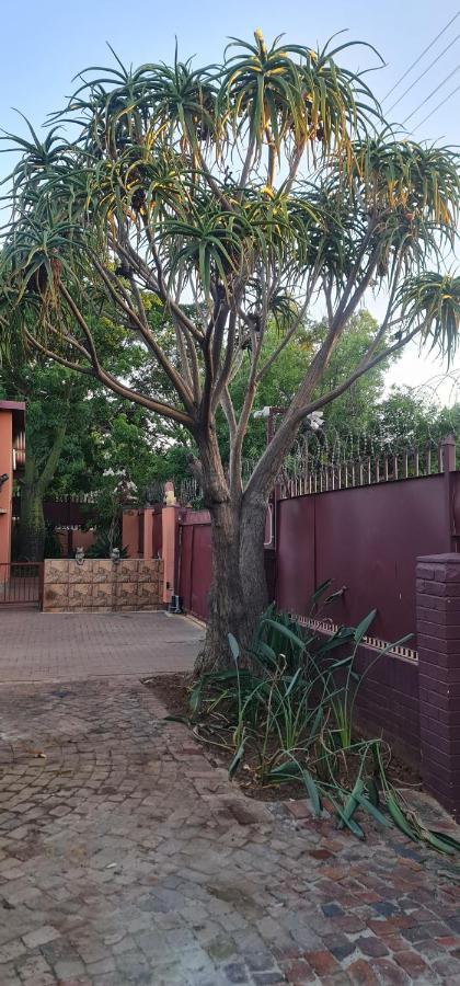 My House Guest House Pretoria-Noord Exteriér fotografie